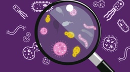 Basics of Microbiology